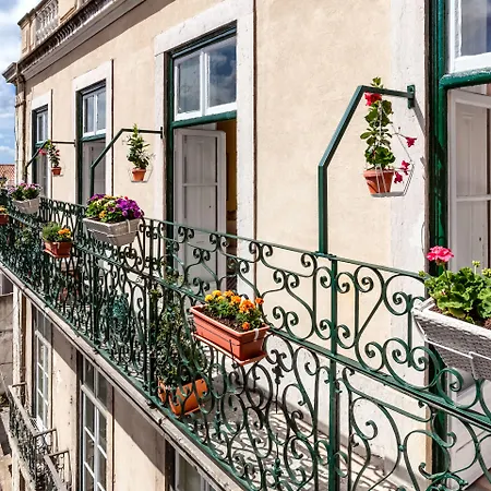 Гостьовий будинок Casinha Flores 3*