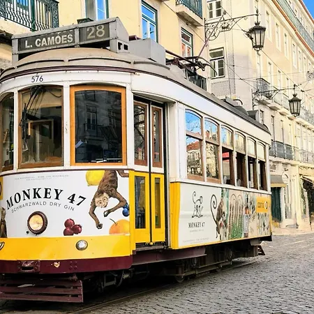 بيت ضيافة Casinha Flores Lisboa